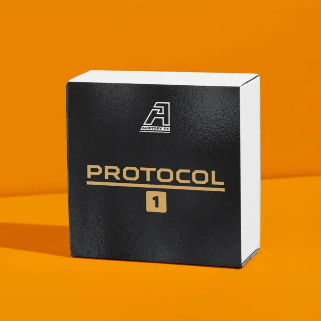 PROTOCOLO 1